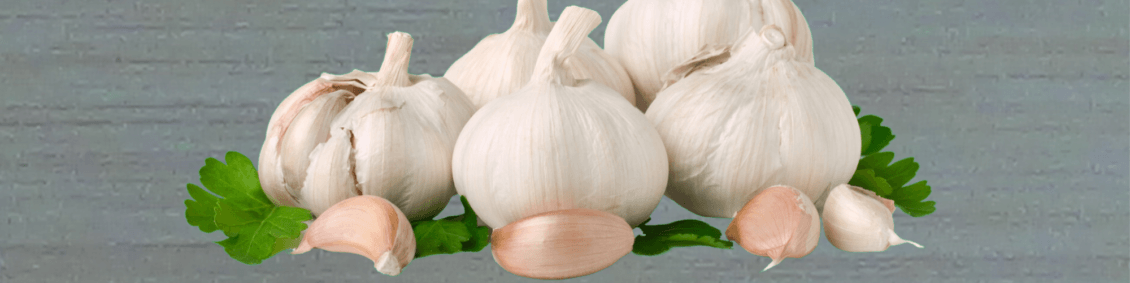 What is a Garlic Mincer