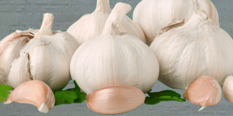 What is a Garlic Mincer